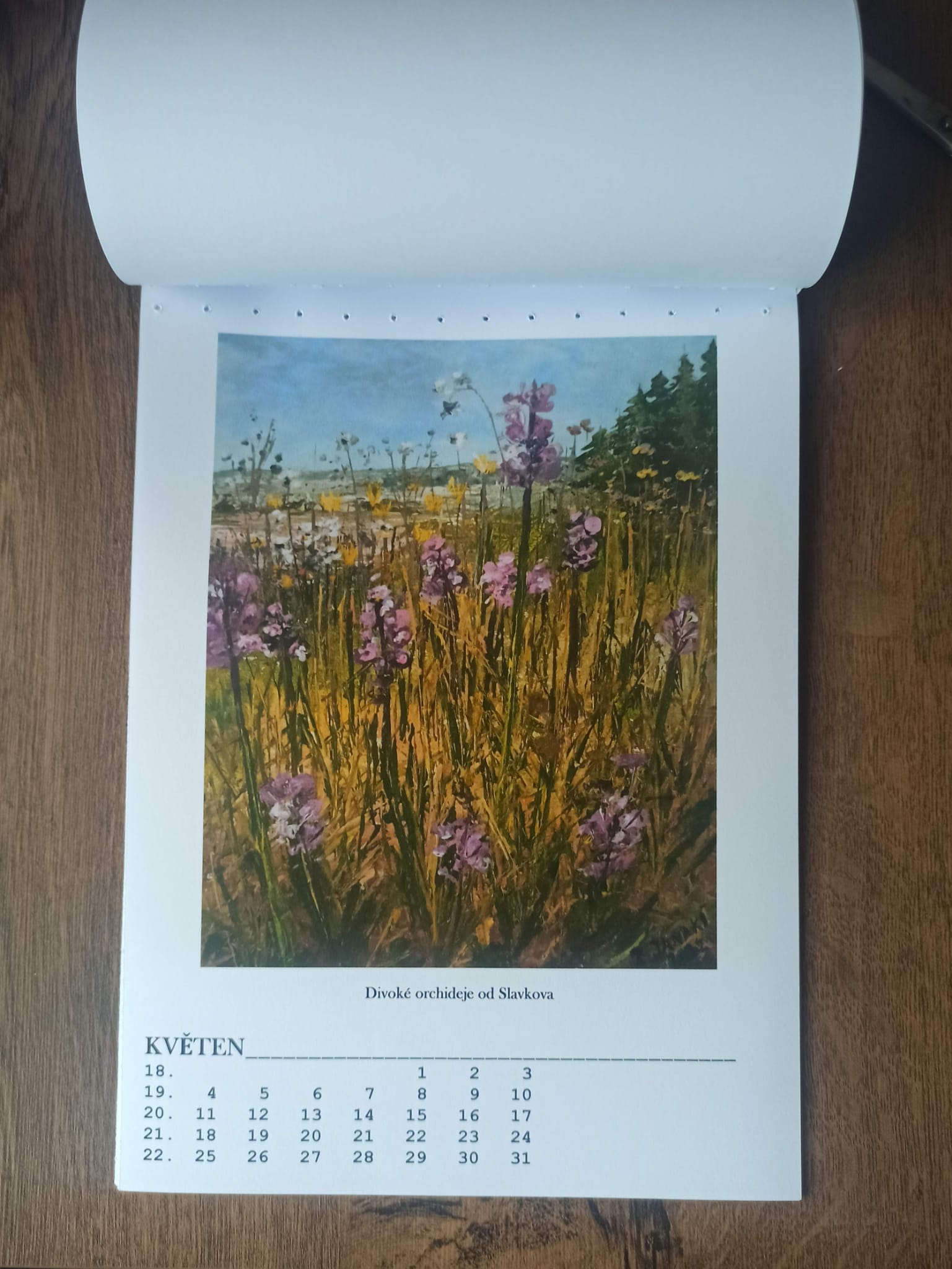 Obrázek WhatsApp, 2025-12-10 v 22.56.38_fa30ca82